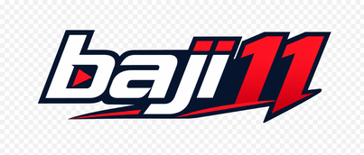 baji11 লোগো